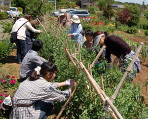 img_csr_20110515_03