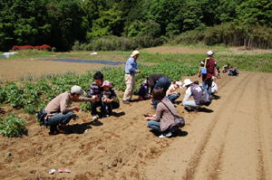 img_csr_20110515_04