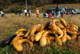 img_csr_20111127_01