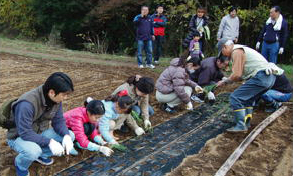 img_csr_20111127_04
