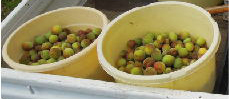 img_csr_20120630_02