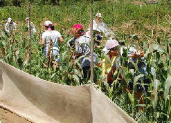 img_csr_20120805_03