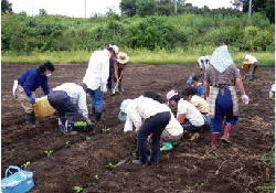 img_csr_20120902_02