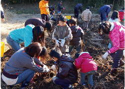 img_csr_20121202_01