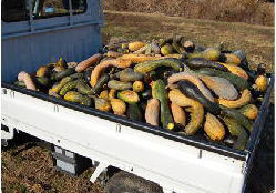 img_csr_20121202_03