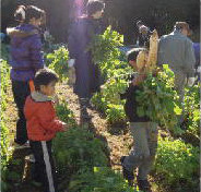 img_csr_20131201_02